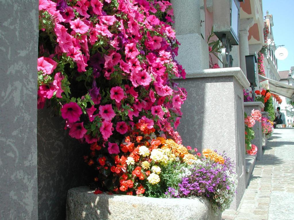 Hotel Sammer Neufelden Luaran gambar
