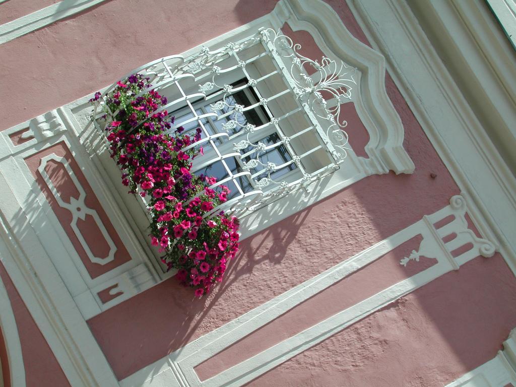 Hotel Sammer Neufelden Luaran gambar